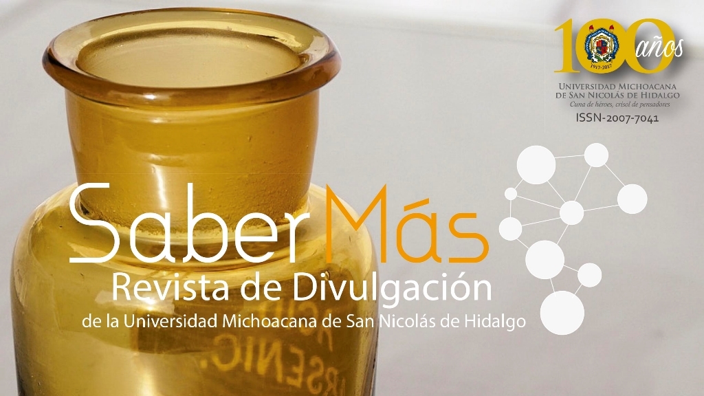 En redes sociales número 29 de la revista nicolaita “Saber Más”