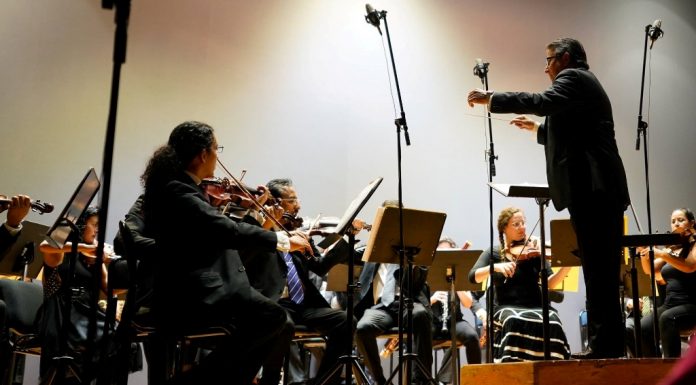 Concierto de la Orquesta de Cámara de la Universidad Michoacana en honor al IIAF