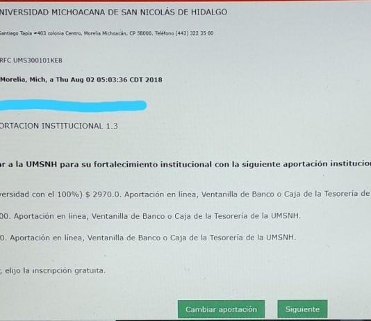 Aportación Institucional a la UMSNH ¿qué y cómo?