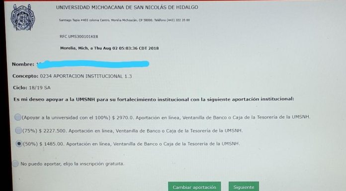 Aportación Institucional a la UMSNH ¿qué y cómo?