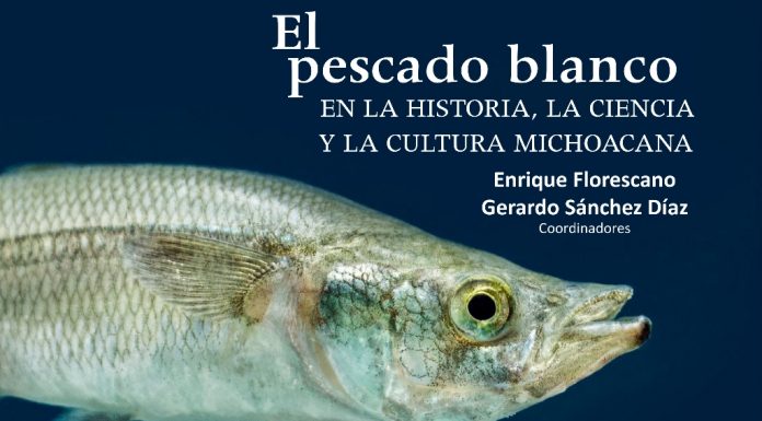 Presentarán libro sobre el pescado blanco michoacano en la Ciudad de México