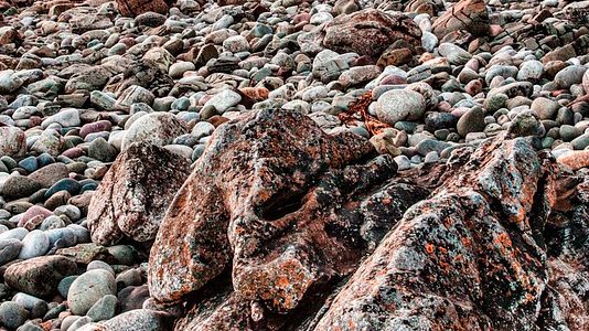 Nuevo Laboratorio de Petrofísica; suma de esfuerzos entre la UMSNH y la ENES-UNAM