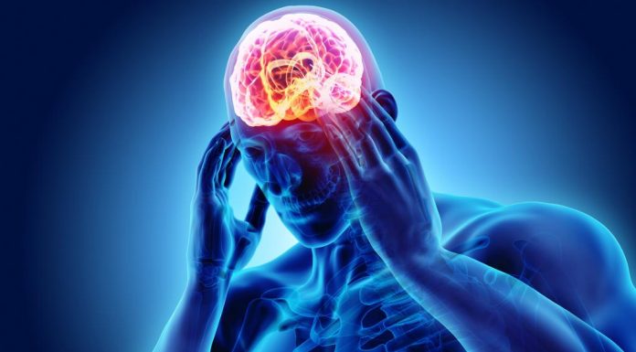 La Facultad de Medicina de la UMSNH prepara la Semana Internacional del Cerebro