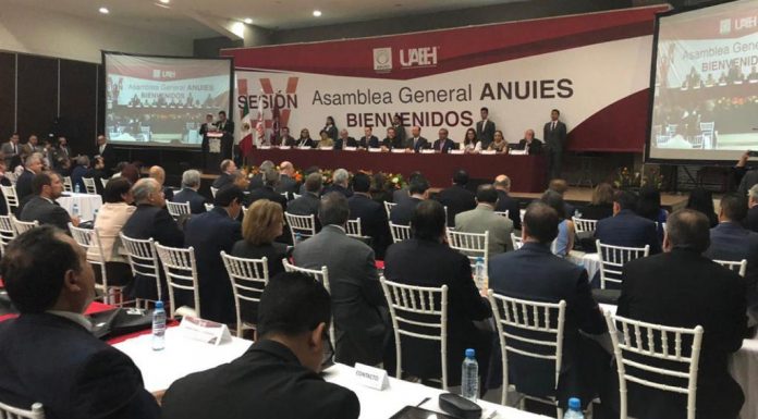 Se requieren nuevos pactos al interior de las universidades para superar la crisis estructural: Luciano Concheiro