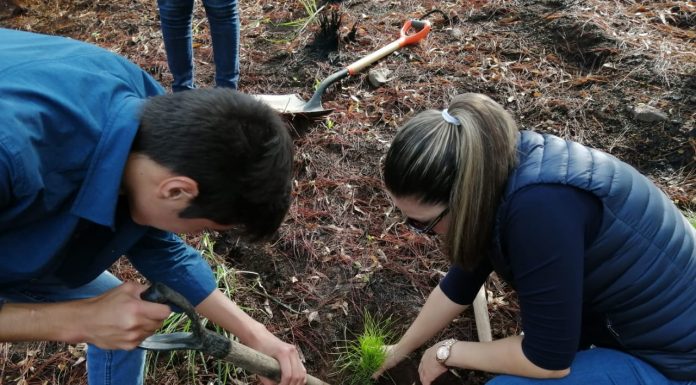 Nicolaitas por el Planeta, de la palabra a los hechos; inician campañas de reforestación