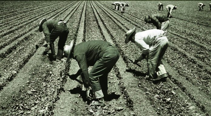 Viejos y nuevos braceros; A 77 años del inicio del programa bracero, perspectiva social, jurídica y académica