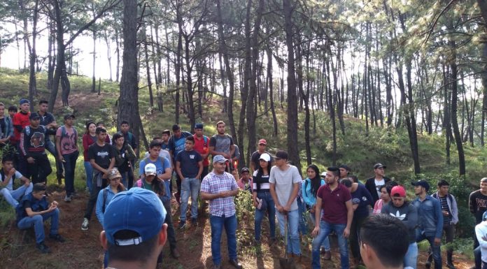 Casas del Estudiante en Uruapan, reforestan el cerro de «La Charanda»