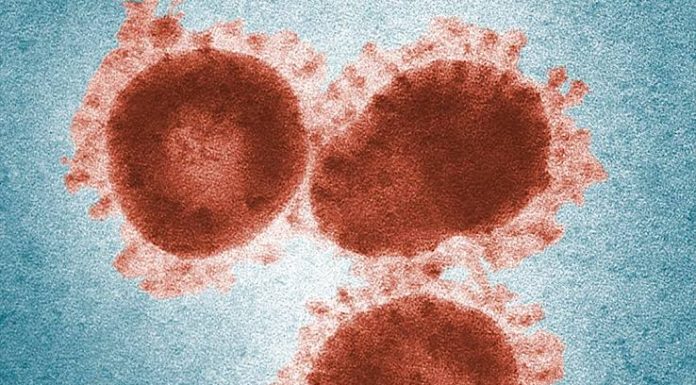 Xiang Tiang, estudiante de la UMSNH da Negativo al Coronavirus de Wuhan