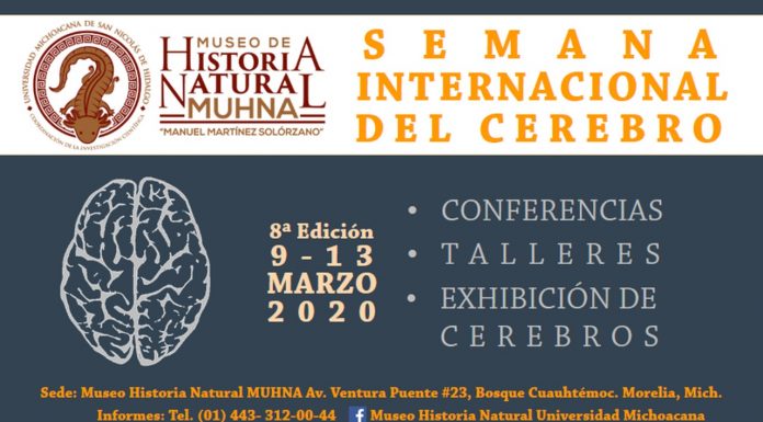 La UMSNH alista la Semana Internacional del Cerebro 2020