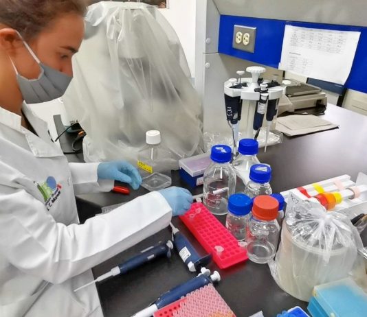 Pruebas de detección rápida, modelo de biosensor hecho en la Universidad Michoacana