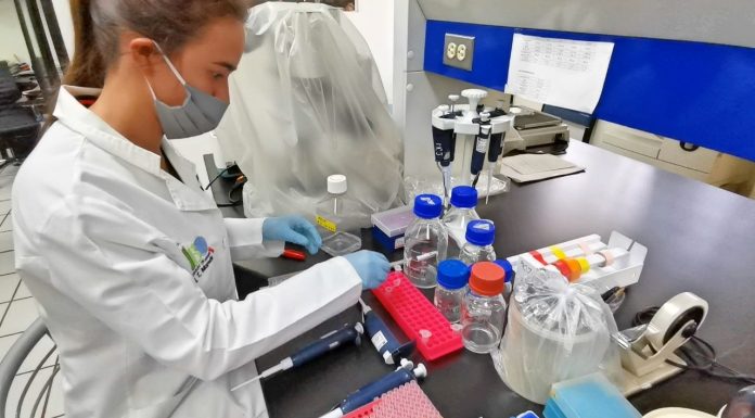 Pruebas de detección rápida, modelo de biosensor hecho en la Universidad Michoacana