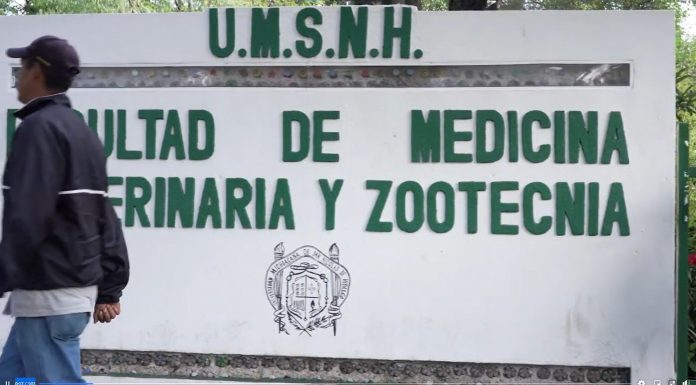 Medicina Veterinaria, obtiene la acreditación de su programa de licenciatura por los CIEES