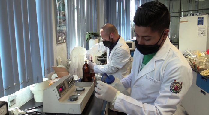 A pesar de la Pandemia, la UMSNH incrementó su matrícula con 97.8 % en programas de calidad