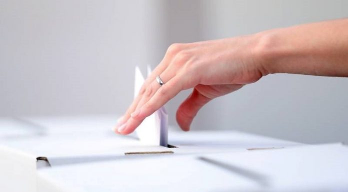 Elección de Consejo Técnico; vital para conocer el funcionamiento de tu escuela o facultad en la UMSNH Votación del Consejo técnico en la UMSNH