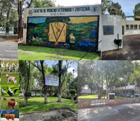 Todo listo para el XXXII Encuentro de Investigación Veterinaria y Producción Animal