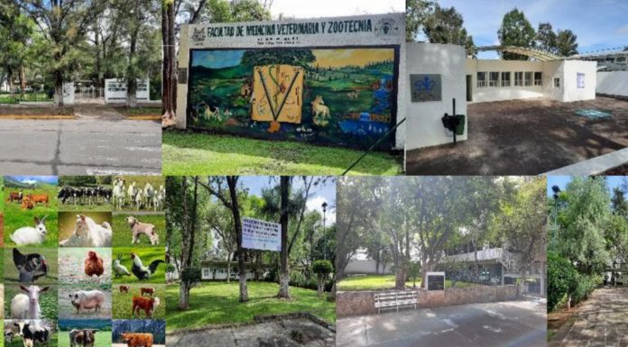 Todo listo para el XXXII Encuentro de Investigación Veterinaria y Producción Animal
