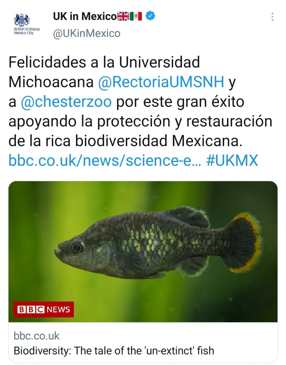La embajada de Reino Unido en México, celebró el resultado del proyecto de conservación encabezado por la UMSNH
