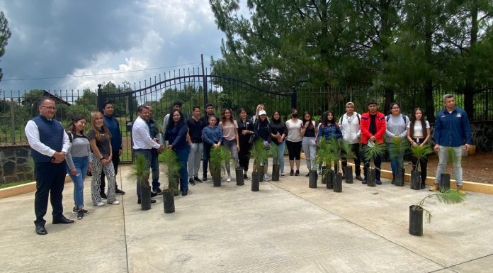 Participa el Instituto Tecnológico de Morelia en Trabajos de Reforestación en Pátzcuaro