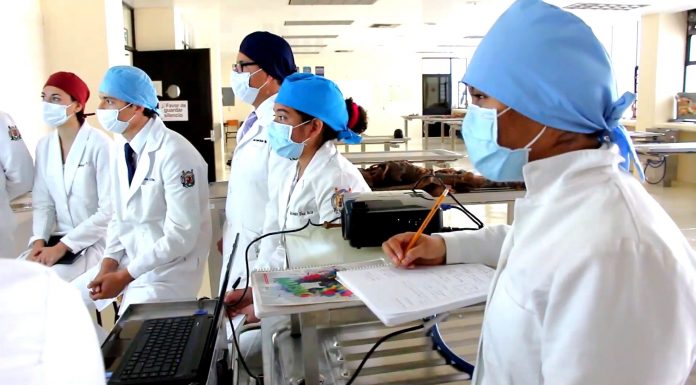 Médico Cirujano: Nuevo Plan de estudios de la Facultad de Medicina de la UMSNH