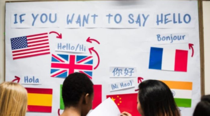 Departamento de Idiomas de la UMSNH amplía periodo de inscripciones para el ciclo escolar 23-23
