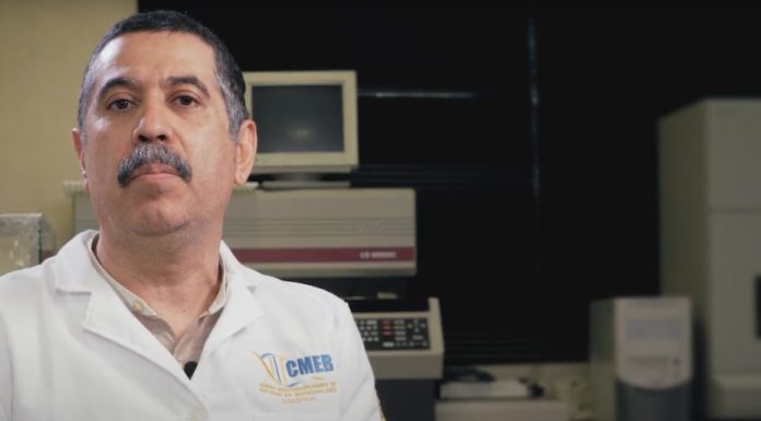 UMSNH anuncia a su nuevo director del Centro de Biotecnología, Vázquez Marrufo dirigirá el CMEB Dr Gerardo Vázquez Marrufo - Director del CMEB