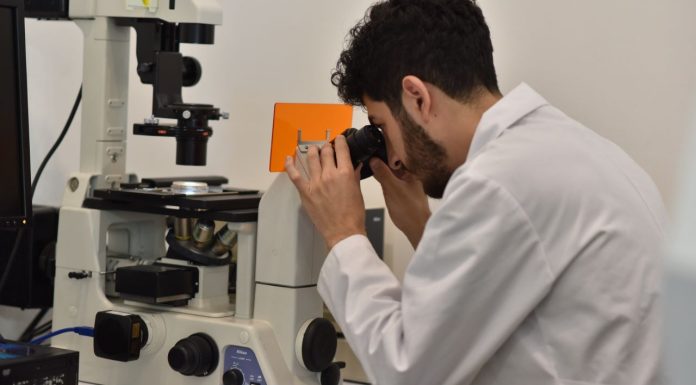 UMSNH Impulsa Innovación Científica con 54 Proyectos Aprobados