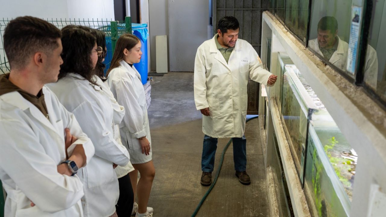 Estudiantes de la UMSNH participan en una práctica de laboratorio como parte de la Maestría en Ciencias Biológicas. Estudiantes de la UMSNH participan en una práctica de laboratorio como parte de la Maestría en Ciencias Biológicas.