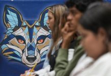 UMSNH activa tercera convocatoria de nuevo ingreso La logística y organización son elementos clave durante la aplicación de los exámenes de admisión. La distribución de los aspirantes garantiza la transparencia y el orden del proceso.