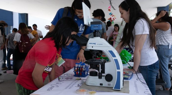 UMSNH alista edición XXXIV del Tianguis de la Ciencia El Tianguis de la Ciencia de la UMSNH volverá a abrir sus espacios a niñas, niños y estudiantes de todas las edades con actividades de divulgación científica.