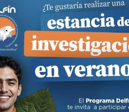 UMSNH invita a estudiantes al Programa Delfín 2026 31° Verano de la Investigación Científica y Tecnológica del Pacífico 2026