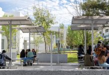 Nueva licenciatura de la UMSNH en Gobierno y Políticas Públicas La Universidad Michoacana de San Nicolás de Hidalgo se convierte en la primera institución pública del estado en ofertar la Licenciatura en Política, Gobierno y Gestión Pública.