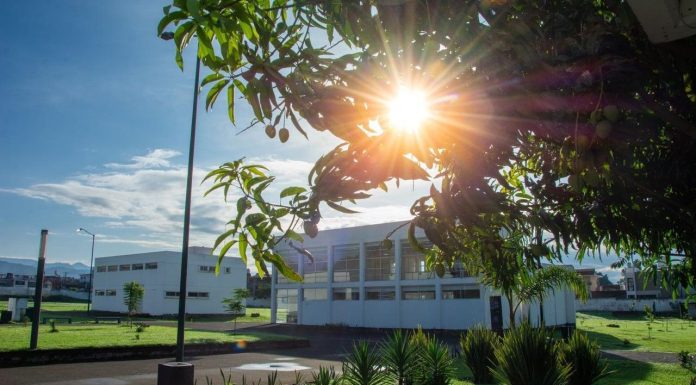 Unidades Profesionales de la UMSNH abren puertas a jóvenes del interior Las instalaciones de la Unidad Profesional de la UMSNH en Uruapan ofrecen a los jóvenes de la región un espacio moderno para continuar su formación académica en ocho licenciaturas disponibles en la Convocatoria de Nuevo Ingreso 2026.