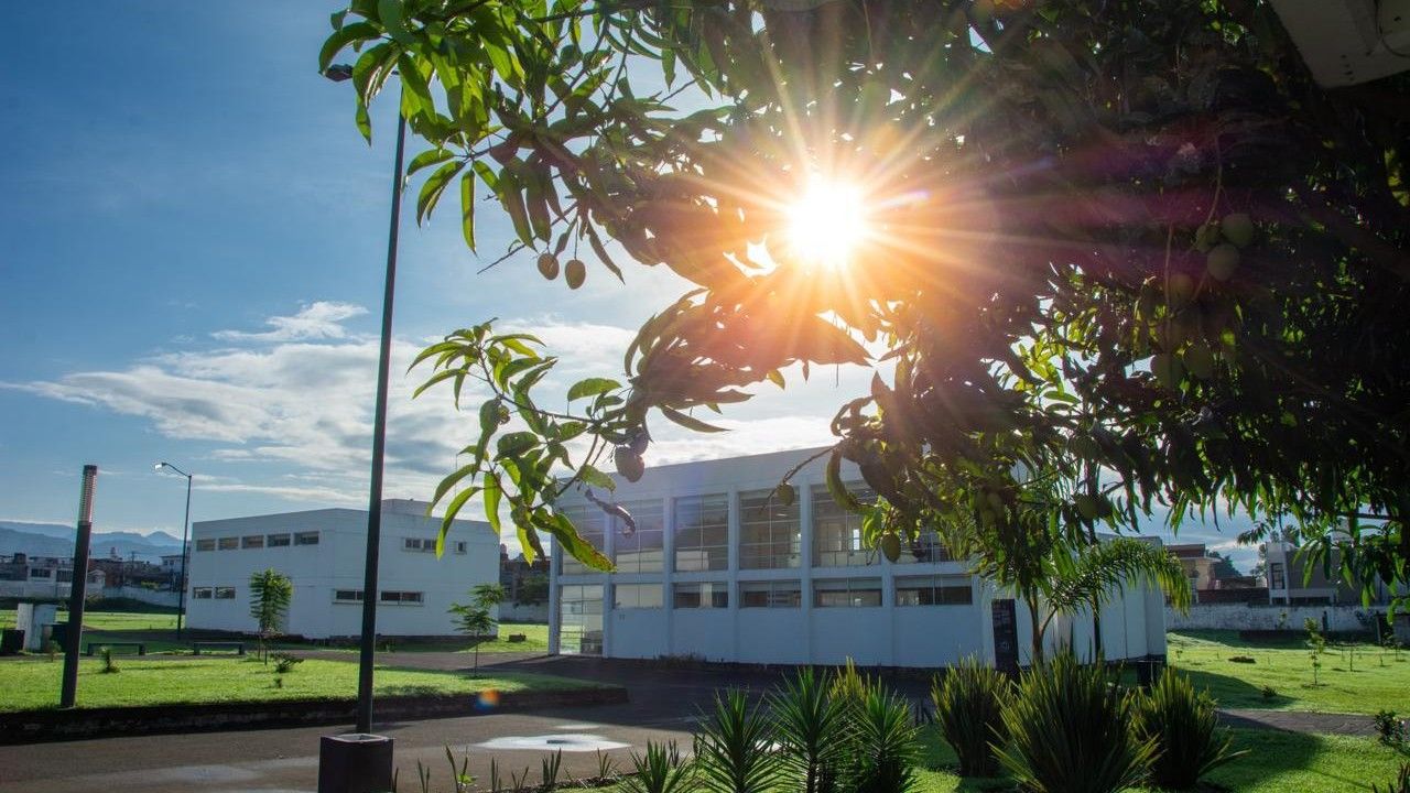 Las instalaciones de la Unidad Profesional de la UMSNH en Uruapan ofrecen a los jóvenes de la región un espacio moderno para continuar su formación académica en ocho licenciaturas disponibles en la Convocatoria de Nuevo Ingreso 2026. Las instalaciones de la Unidad Profesional de la UMSNH en Uruapan ofrecen a los jóvenes de la región un espacio moderno para continuar su formación académica en ocho licenciaturas disponibles en la Convocatoria de Nuevo Ingreso 2026.