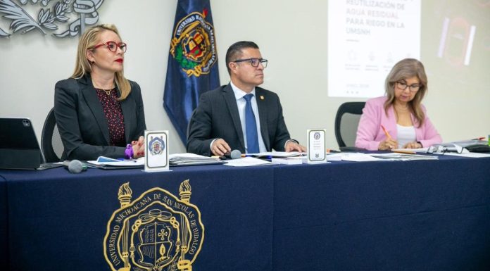 Cinco nuevos titulares asumen dependencias de la UMSNH El secretario general de la UMSNH, Javier Cervantes Rodríguez, informó al pleno del Consejo Universitario el estado de las candidaturas previo a cada proceso electoral.