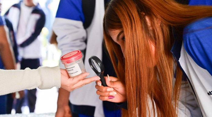 Tianguis de la Ciencia de la UMSNH 2026 tendrá como protagonistas a las primeras infancias La observación directa de especímenes de laboratorio es una de las experiencias que el Tianguis de la Ciencia 2026 ofrecerá a sus visitantes. El acercamiento sin barreras al material científico, como el que muestra esta joven con lupa en mano, es parte del modelo de divulgación que distingue al evento universitario nicolaita como uno de los más importantes del estado.