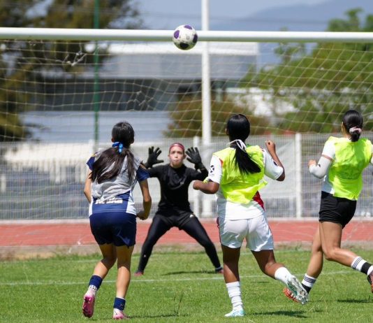 Atlético Morelia-UMSNH Femenil inicia visorías en busca de talento para la TDP La portería del Estadio Universitario fue escenario de las pruebas en las que jóvenes futbolistas de Michoacán y de otros estados de la República Mexicana mostraron su nivel técnico ante el cuerpo técnico del Atlético Morelia-UMSNH Femenil, encabezado por el entrenador Francisco Farfán.