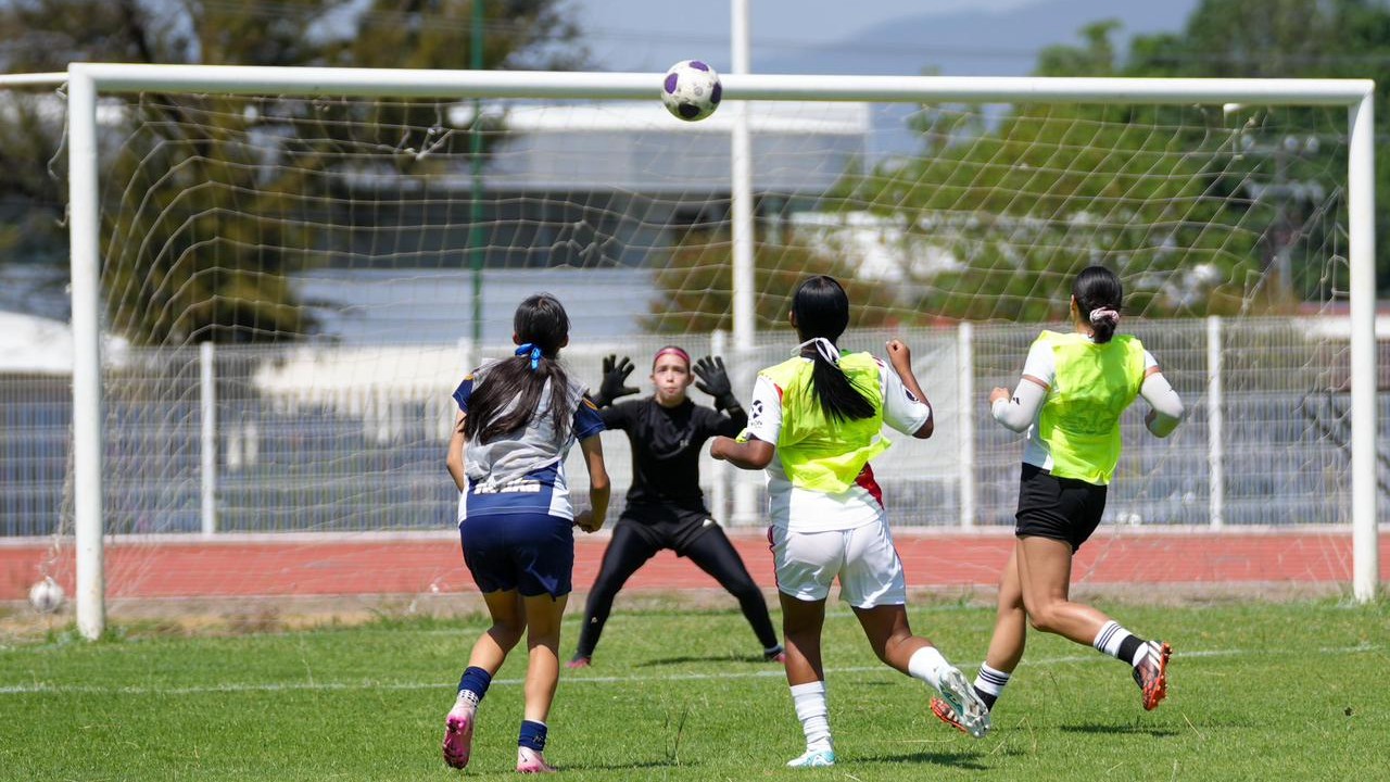 La portería del Estadio Universitario fue escenario de las pruebas en las que jóvenes futbolistas de Michoacán y de otros estados de la República Mexicana mostraron su nivel técnico ante el cuerpo técnico del Atlético Morelia-UMSNH Femenil, encabezado por el entrenador Francisco Farfán. La portería del Estadio Universitario fue escenario de las pruebas en las que jóvenes futbolistas de Michoacán y de otros estados de la República Mexicana mostraron su nivel técnico ante el cuerpo técnico del Atlético Morelia-UMSNH Femenil, encabezado por el entrenador Francisco Farfán.