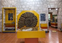 Museo de Historia Natural de la UMSNH exhibe fósil de rincoterio prehistórico Una réplica de amonites de gran formato preside una de las salas principales de la exposición itinerante del INAH, actualmente exhibida de manera gratuita en el MUHNA.