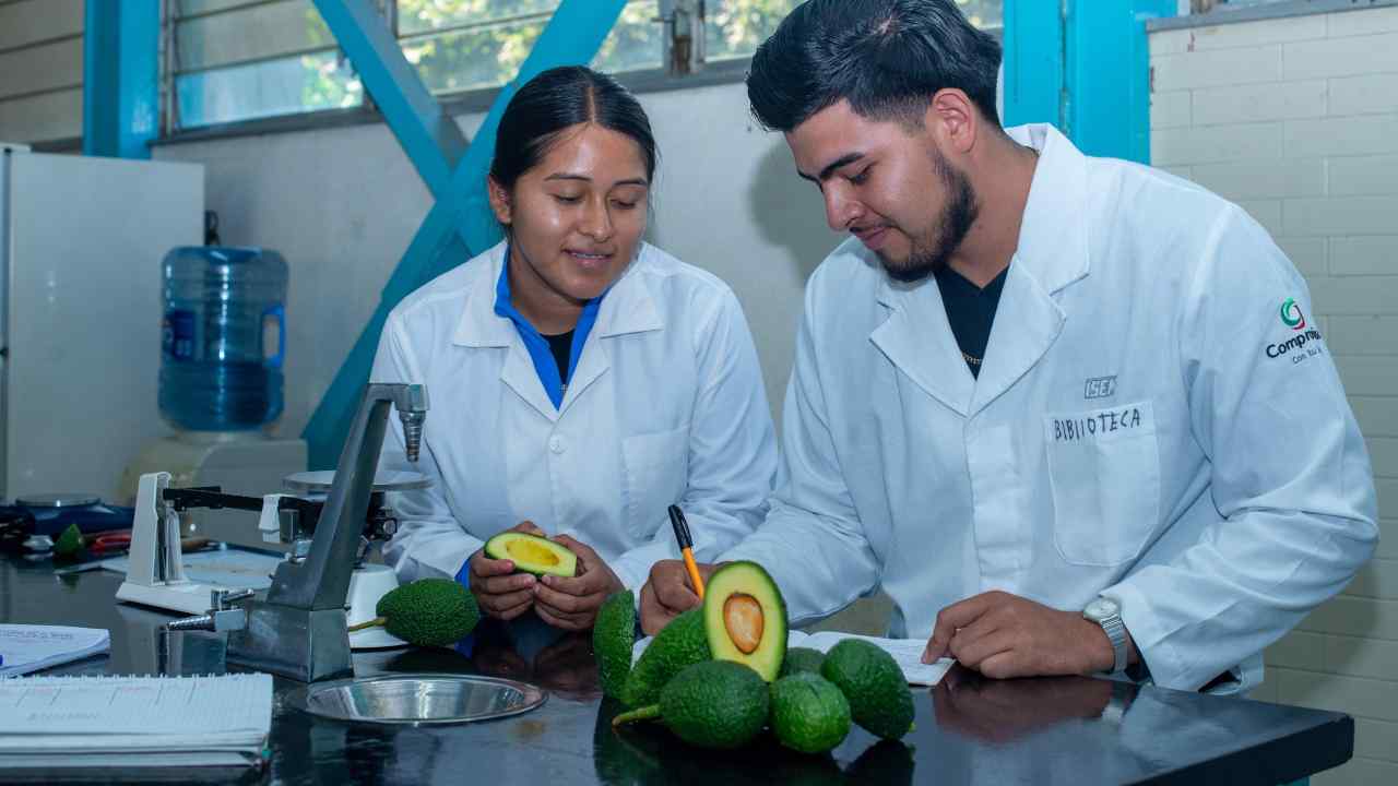 El desarrollo de proyectos científicos vinculados al sector productivo michoacano atiende problemáticas estratégicas de la región. El desarrollo de proyectos científicos vinculados al sector productivo michoacano atiende problemáticas estratégicas de la región.
