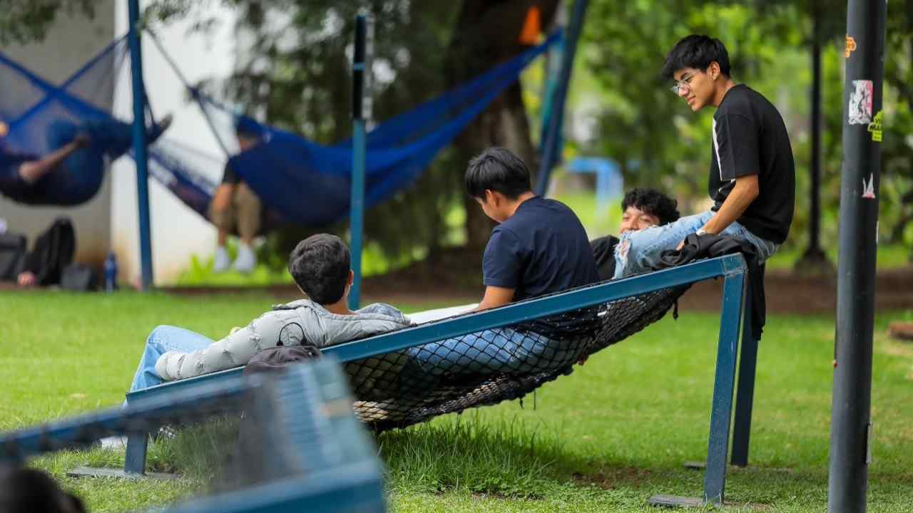 Alumnos de la UMSNH aprovechan el nuevo mobiliario urbano y estructuras de descanso instaladas en los jardines del campus universitario. Alumnos de la UMSNH aprovechan el nuevo mobiliario urbano y estructuras de descanso instaladas en los jardines del campus universitario.