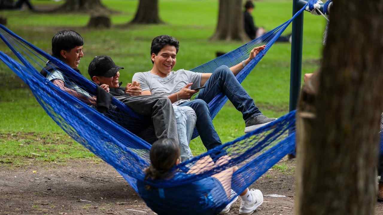 Estudiantes descansan en las hamacas habilitadas en las áreas verdes como parte de los proyectos de entornos habitables de la UMSNH. Estudiantes descansan en las hamacas habilitadas en las áreas verdes como parte de los proyectos de entornos habitables de la UMSNH.