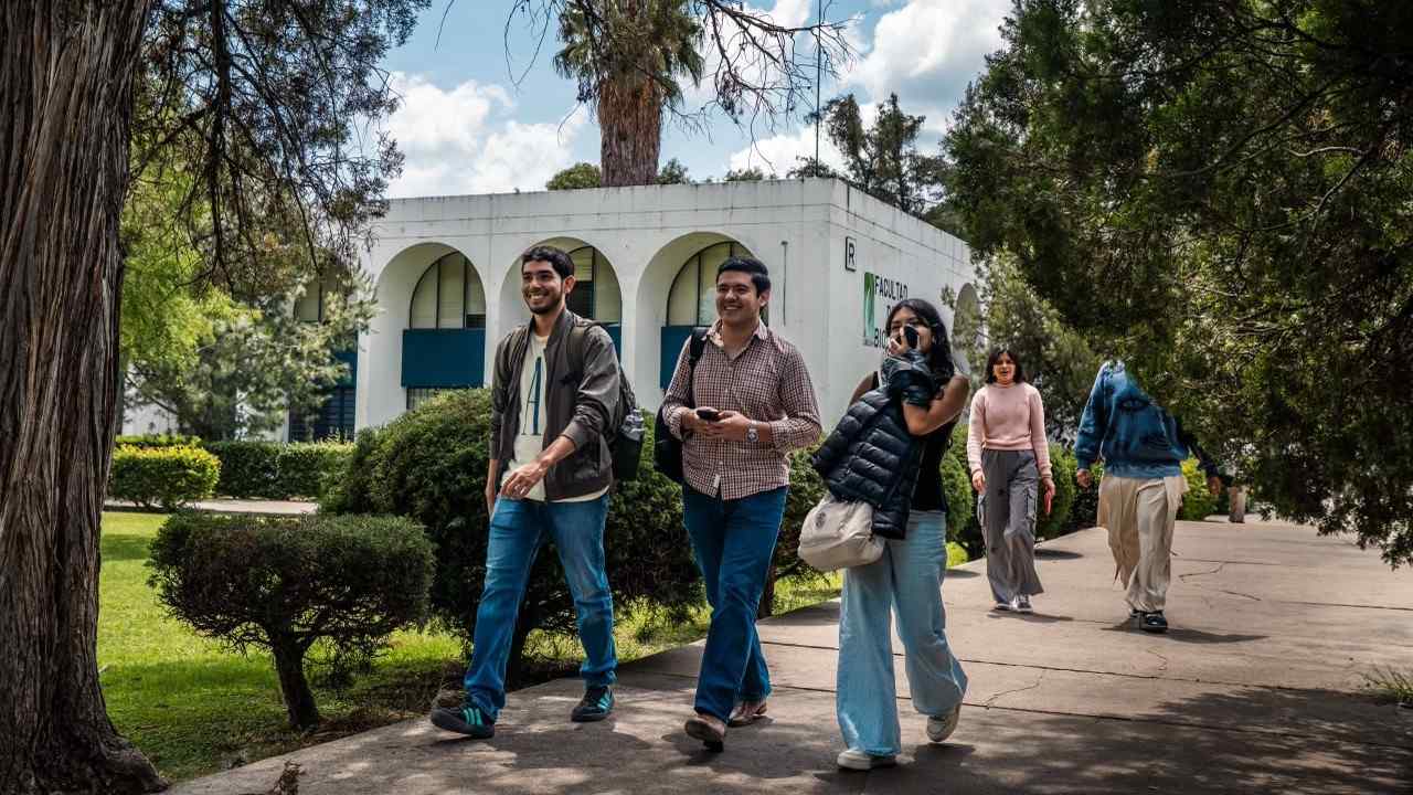 El mantenimiento continuo de áreas verdes y fachadas en las dependencias académicas brinda un entorno armónico y seguro para la vida estudiantil. El mantenimiento continuo de áreas verdes y fachadas en las dependencias académicas brinda un entorno armónico y seguro para la vida estudiantil.