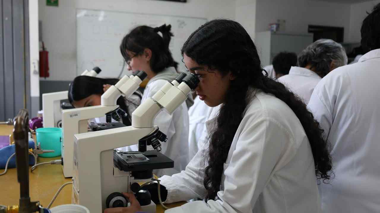 Alumnas realizan prácticas con microscopios en los laboratorios universitarios, actividades fundamentales para los posgrados en ciencias de la salud y áreas experimentales. Alumnas realizan prácticas con microscopios en los laboratorios universitarios, actividades fundamentales para los posgrados en ciencias de la salud y áreas experimentales.